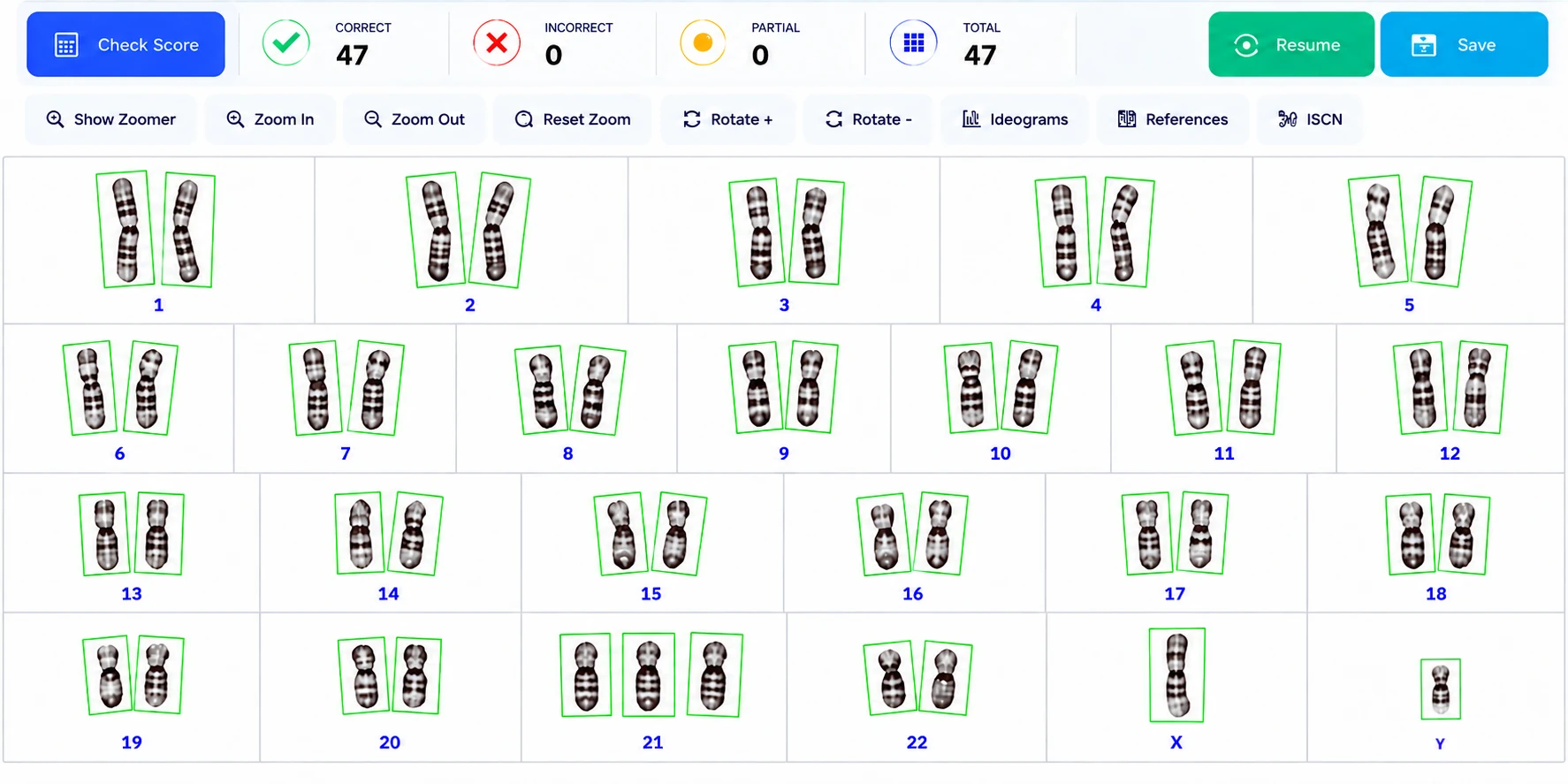 Completed karyotype in the Karyotutor workbench with every chromosome scored correct