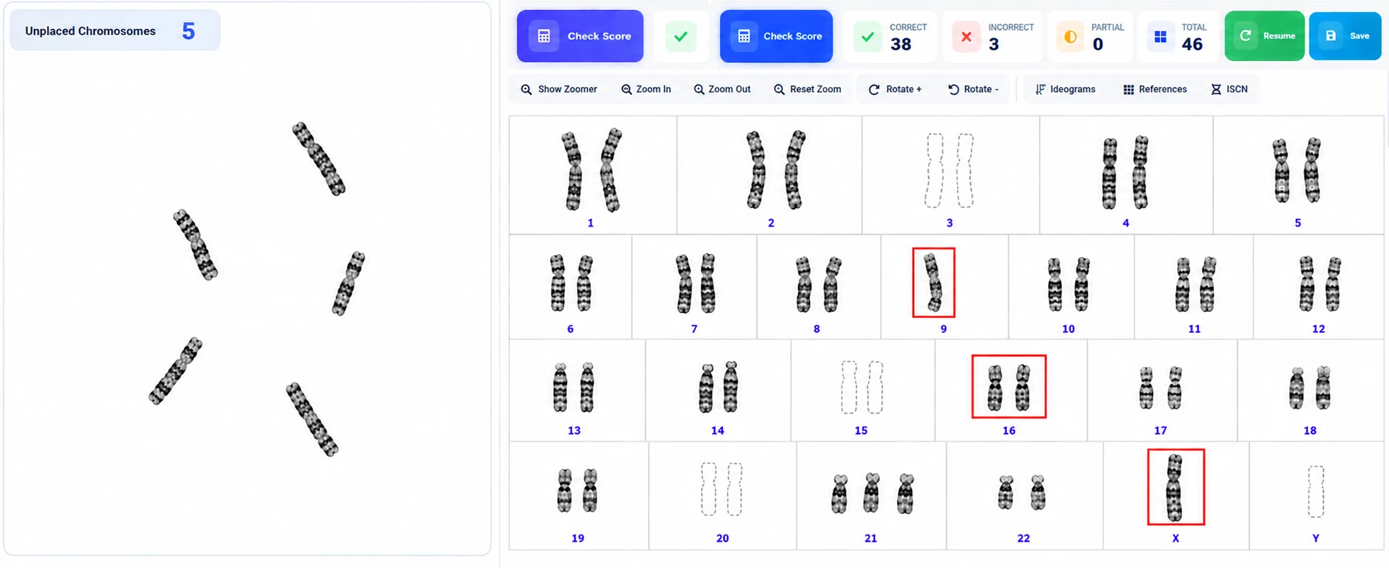 Karyotutor interactive karyotyping platform showing chromosome analysis and scoring